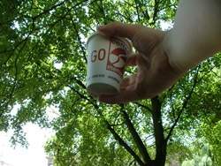 06